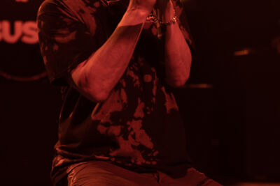 Bush @ Trix, picture 4, photographed by David Johnson - FrontView Magazine