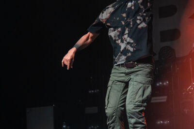Bush @ Trix, picture 12, photographed by David Johnson - FrontView Magazine