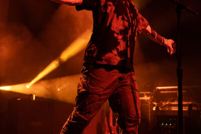Bush @ Trix, picture 17, photographed by David Johnson - FrontView Magazine