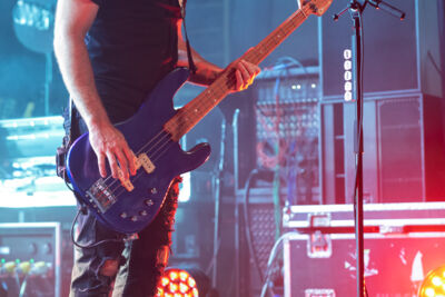 Bush @ Trix, picture 18, photographed by David Johnson - FrontView Magazine