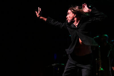 Iggy Pop Jazz Middelheim @ Park Den Brandt, picture 5, photographed by Sandra Van Watermeulen - FrontView Magazine