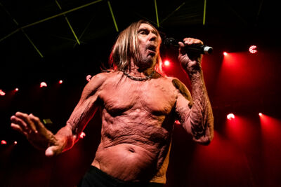 Iggy Pop Jazz Middelheim @ Park Den Brandt, picture 15, photographed by Sandra Van Watermeulen - FrontView Magazine