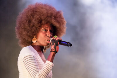 Brooklyn Funk Essentials @ Half Oogst Leuven, picture 15, photographed by Jürgen Bruynooghe - FrontView Magazine