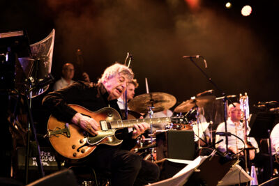 Toots 100 – Brussels Jazz Orchestra @ Jazz Middelheim, picture 1, photographed by Ann Carpentier - FrontView Magazine