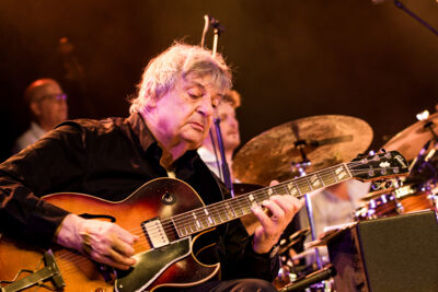 Toots 100 – Brussels Jazz Orchestra @ Jazz Middelheim, picture 2, photographed by Ann Carpentier - FrontView Magazine