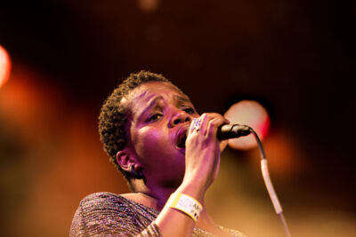 Toots 100 – Brussels Jazz Orchestra @ Jazz Middelheim, picture 3, photographed by Ann Carpentier - FrontView Magazine