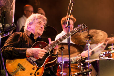 Toots 100 – Brussels Jazz Orchestra @ Jazz Middelheim, picture 6, photographed by Ann Carpentier - FrontView Magazine