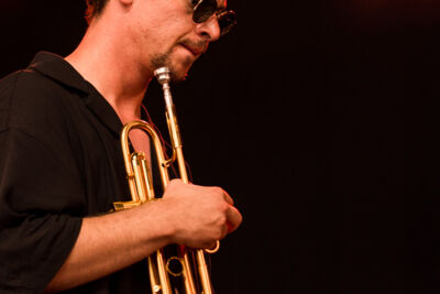 Flight of the Black Zebra ft. Jakob Bro @ Jazz Middelheim, picture 8, photographed by Ann Carpentier - FrontView Magazine