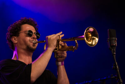 Flight of the Black Zebra ft. Jakob Bro @ Jazz Middelheim, picture 11, photographed by Ann Carpentier - FrontView Magazine
