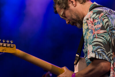 Flight of the Black Zebra ft. Jakob Bro @ Jazz Middelheim, picture 12, photographed by Ann Carpentier - FrontView Magazine