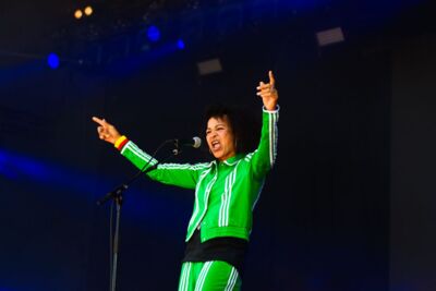 Stereo MC'S @ W-Fest vrijdag, picture 5, photographed by Luc Klinckaert - FrontView Magazine