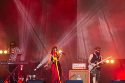 Arrested Development @ W-Fest zaterdag, picture 10, photographed by Luc Klinckaert - FrontView Magazine
