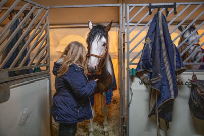 Cavalluna, Secret Of Eternity Stables Tour @ sportpaleis, foto 2, foto's door dirk janssens - FrontView Magazine