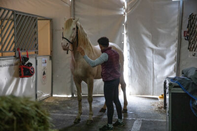 Cavalluna, Secret Of Eternity Stables Tour @ sportpaleis, foto 4, foto's door dirk janssens - FrontView Magazine