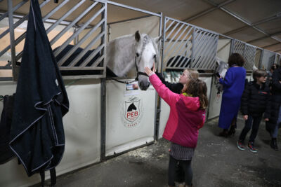 Cavalluna, Secret Of Eternity Stables Tour @ sportpaleis, foto 9, foto's door dirk janssens - FrontView Magazine