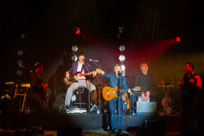 Bart Peeters @ Rock Affligem, picture 7, photographed by Luc Klinckaert - FrontView Magazine