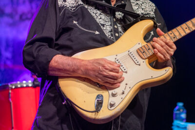 Walter Trout @ Blues Peer, picture 13, photographed by Leen Verlinden - FrontView Magazine