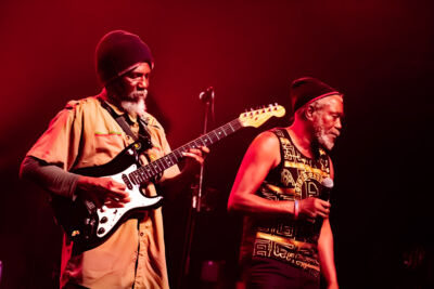 Horace Andy @ Viernulvier, picture 18, photographed by Luc Klinckaert - FrontView Magazine