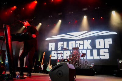 A flock Of Seagulls @ W-Fest dag 1, picture 3, photographed by Luc Klinckaert - FrontView Magazine