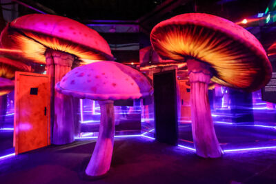 Tim Burton's Labyrinth Expo Brussel, picture 25, photographed by Kitty van de Waart - FrontView Magazine