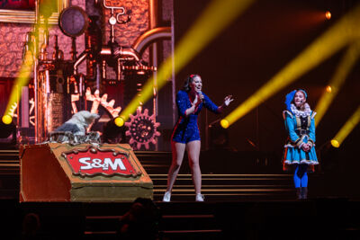 De Grote Sinterklaasshow @ Sportpaleis, foto 16, foto's door David Johnson - FrontView Magazine
