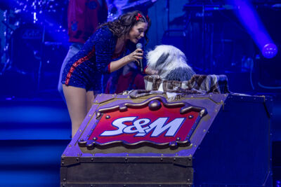 De Grote Sinterklaasshow @ Sportpaleis, foto 23, foto's door David Johnson - FrontView Magazine