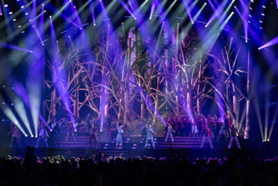 De Grote Sinterklaasshow @ Sportpaleis, foto 39, foto's door David Johnson - FrontView Magazine