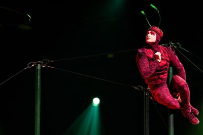 Cirque du Soleil - OVO @ Lotto Arena, picture 2, photographed by Dorien Goetschalckx - FrontView Magazine