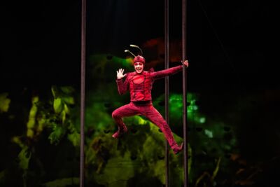 Cirque du Soleil - OVO @ Lotto Arena, picture 3, photographed by Dorien Goetschalckx - FrontView Magazine
