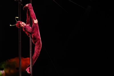 Cirque du Soleil - OVO @ Lotto Arena, picture 5, photographed by Dorien Goetschalckx - FrontView Magazine