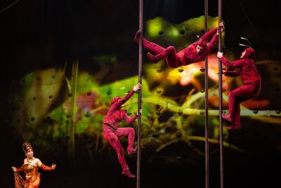 Cirque du Soleil - OVO @ Lotto Arena, picture 7, photographed by Dorien Goetschalckx - FrontView Magazine