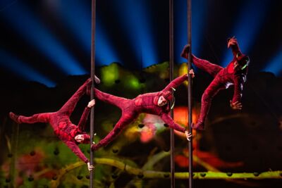 Cirque du Soleil - OVO @ Lotto Arena, picture 8, photographed by Dorien Goetschalckx - FrontView Magazine