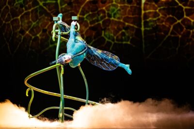 Cirque du Soleil - OVO @ Lotto Arena, picture 10, photographed by Dorien Goetschalckx - FrontView Magazine