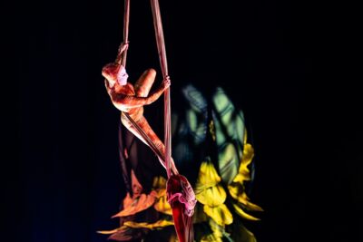 Cirque du Soleil - OVO @ Lotto Arena, picture 21, photographed by Dorien Goetschalckx - FrontView Magazine