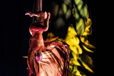 Cirque du Soleil - OVO @ Lotto Arena, picture 22, photographed by Dorien Goetschalckx - FrontView Magazine