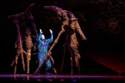 Cirque du Soleil - OVO @ Lotto Arena, picture 30, photographed by Dorien Goetschalckx - FrontView Magazine