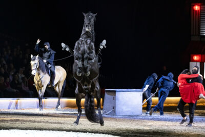 Cavalluna Land Of A Thousand Dreams show @ Sportpaleis, foto 28, foto's door dirk janssens - FrontView Magazine