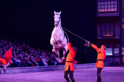 Cavalluna Land Of A Thousand Dreams show @ Sportpaleis, foto 31, foto's door dirk janssens - FrontView Magazine