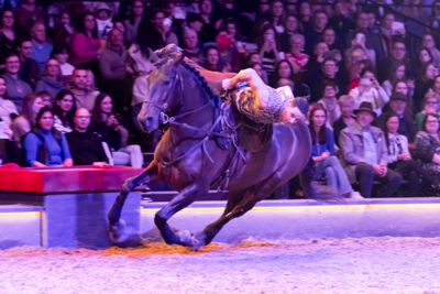 Cavalluna Land Of A Thousand Dreams show @ Sportpaleis, foto 37, foto's door dirk janssens - FrontView Magazine