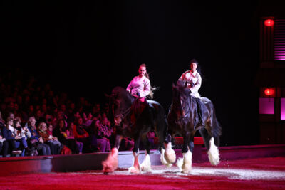 Cavalluna Land Of A Thousand Dreams show @ Sportpaleis, foto 46, foto's door dirk janssens - FrontView Magazine
