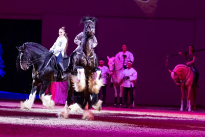Cavalluna Land Of A Thousand Dreams show @ Sportpaleis, foto 47, foto's door dirk janssens - FrontView Magazine