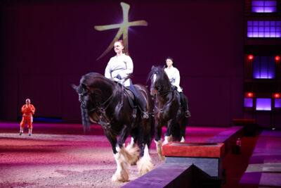 Cavalluna Land Of A Thousand Dreams show @ Sportpaleis, foto 49, foto's door dirk janssens - FrontView Magazine