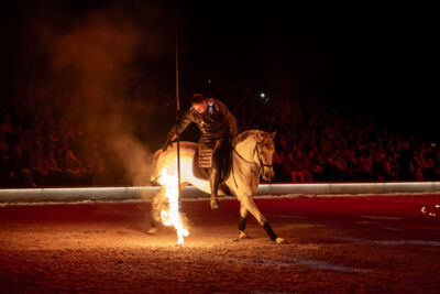 Cavalluna Land Of A Thousand Dreams show @ Sportpaleis, foto 57, foto's door dirk janssens - FrontView Magazine