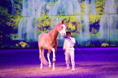 Cavalluna Land Of A Thousand Dreams show @ Sportpaleis, foto 62, foto's door dirk janssens - FrontView Magazine