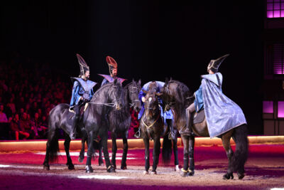 Cavalluna Land Of A Thousand Dreams show @ Sportpaleis, foto 66, foto's door dirk janssens - FrontView Magazine