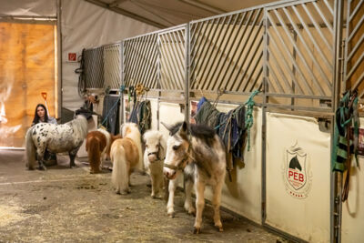 Cavalluna "Land Of A Thousand Dreams" stables tour @ Sportpaleis, foto 1, foto's door dirk janssens - FrontView Magazine