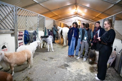 Cavalluna "Land Of A Thousand Dreams" stables tour @ Sportpaleis, foto 3, foto's door dirk janssens - FrontView Magazine