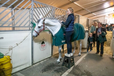 Cavalluna "Land Of A Thousand Dreams" stables tour @ Sportpaleis, foto 13, foto's door dirk janssens - FrontView Magazine