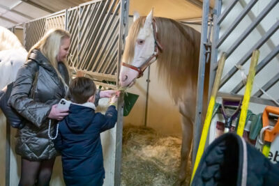 Cavalluna "Land Of A Thousand Dreams" stables tour @ Sportpaleis, foto 14, foto's door dirk janssens - FrontView Magazine