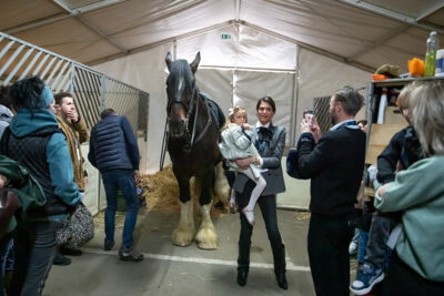 Cavalluna "Land Of A Thousand Dreams" stables tour @ Sportpaleis, foto 15, foto's door dirk janssens - FrontView Magazine